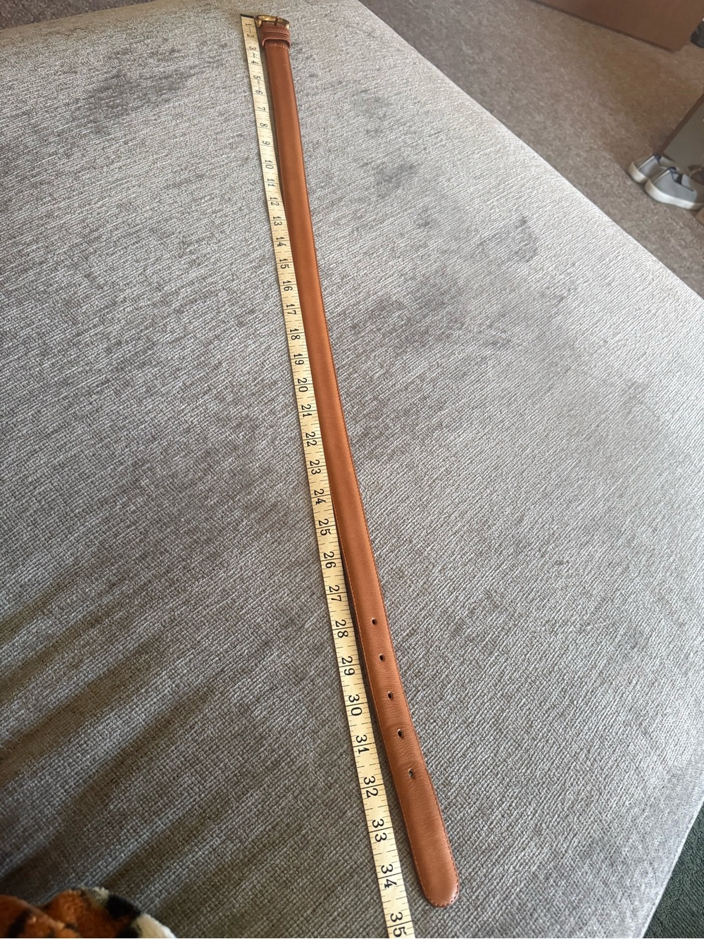 Coach Belt - Picture 5 of 5